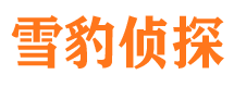 电白捉小三公司